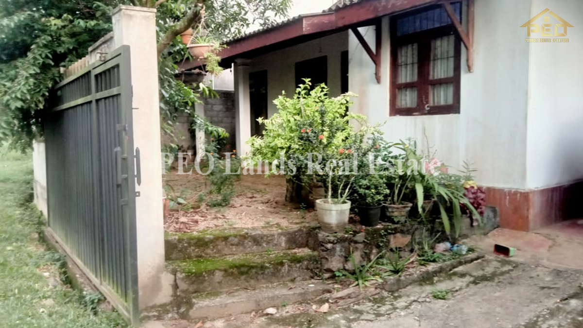 (DR376) Single Storey House For Rent in Delgoda