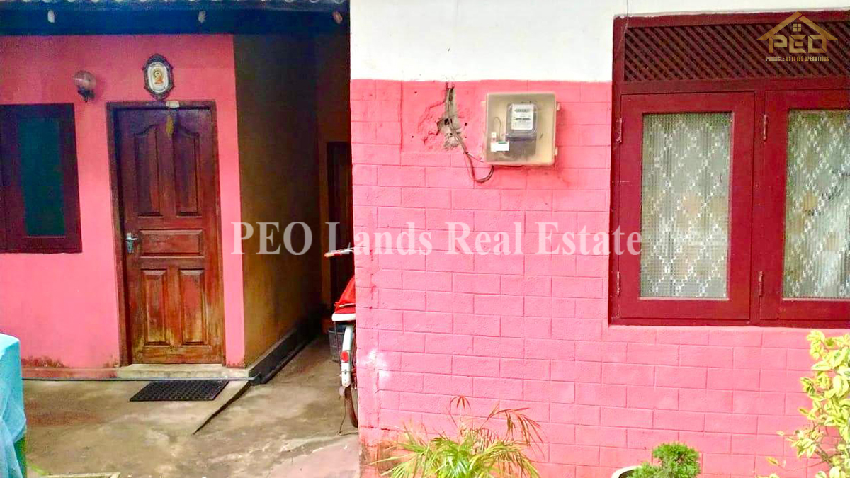 (B144) Single Storey House For Sale in Ganemulla