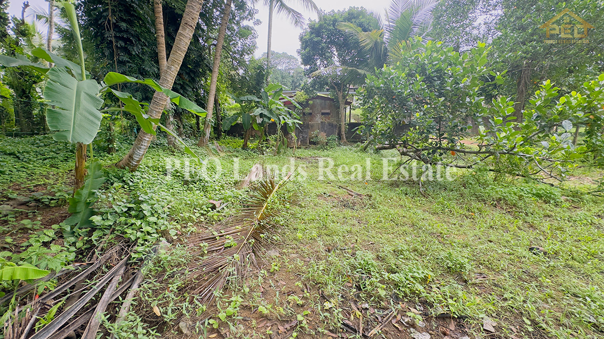 (DL399) 15 perch Land for Sale in Panadura