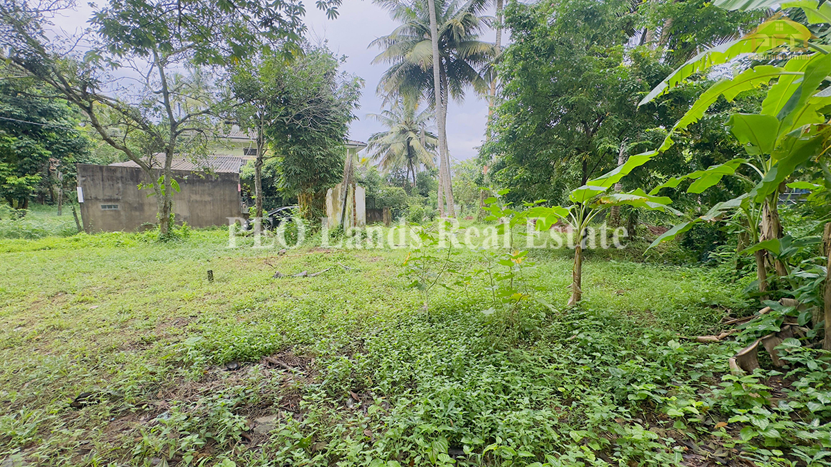 (DL400) 25 perch Land for Sale in Panadura