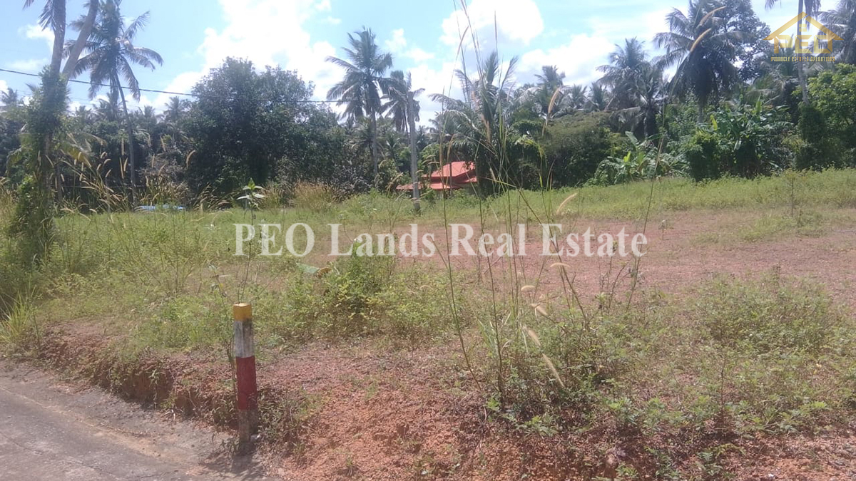 (K242) 12.5 Perch Land for Sale in Gampaha, Naiwala