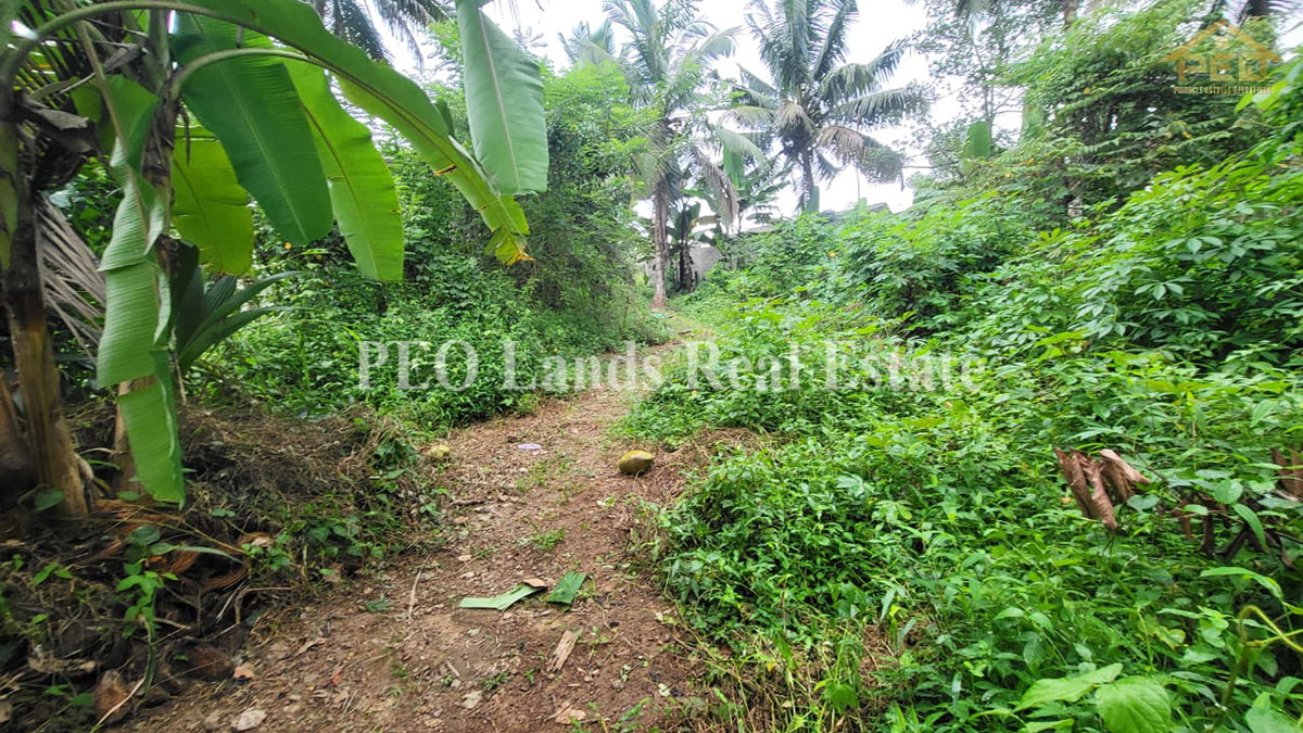 (DL425) 11.30 perch Land for Sale in Meegoda, Artigala Road