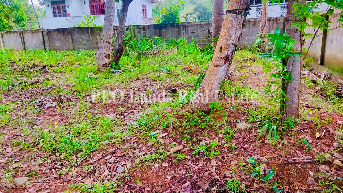 (P299) 7.57 perch Bare Land for Sale in Piliyandala,