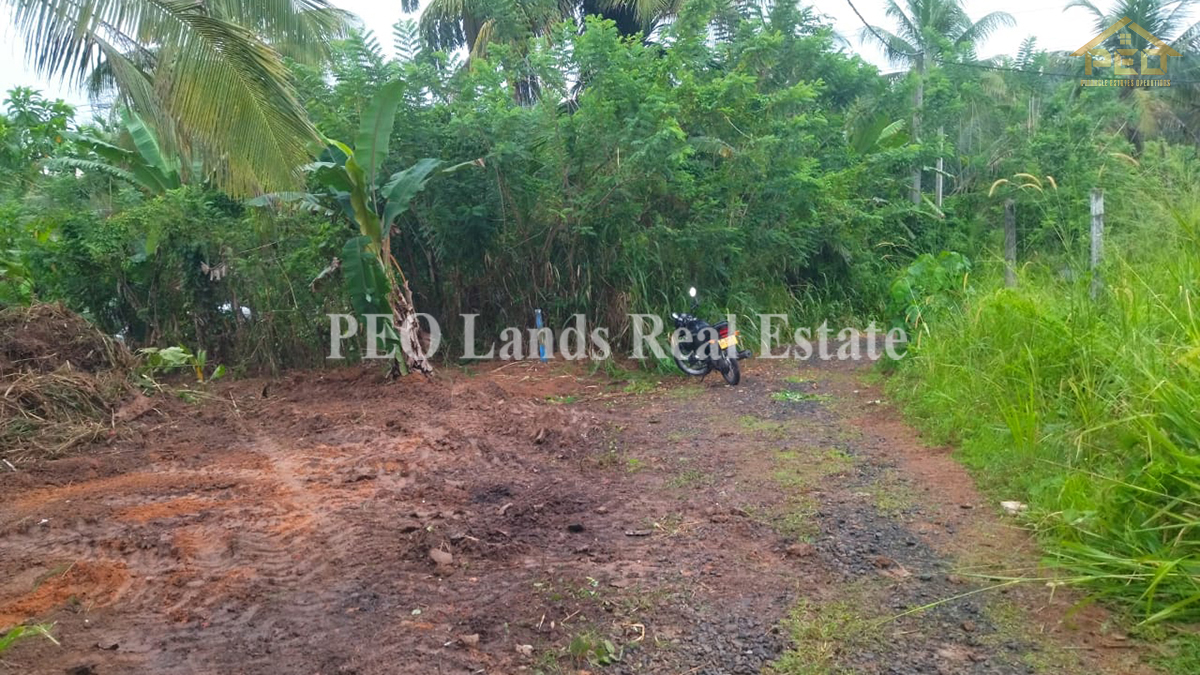 (DL413) 10.5 Perch Bare Land for Sale in Godagama, Araliya Green