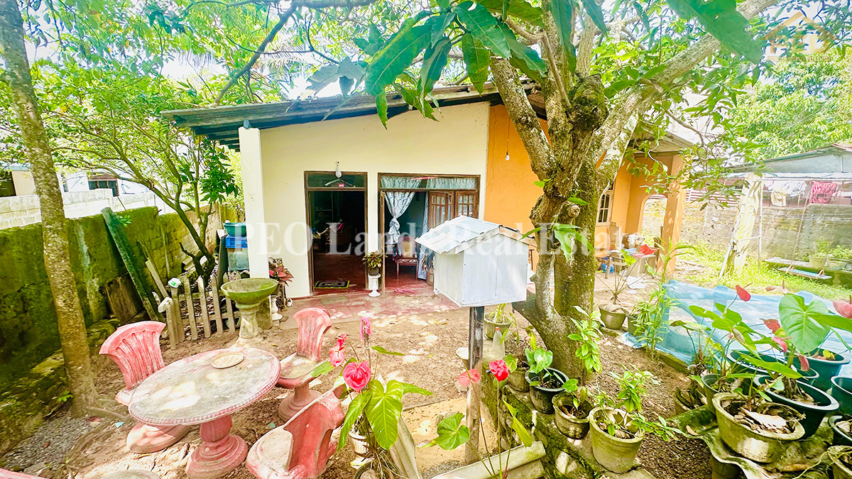 (S719) 12 perch Land Sale in Thalawathugoda