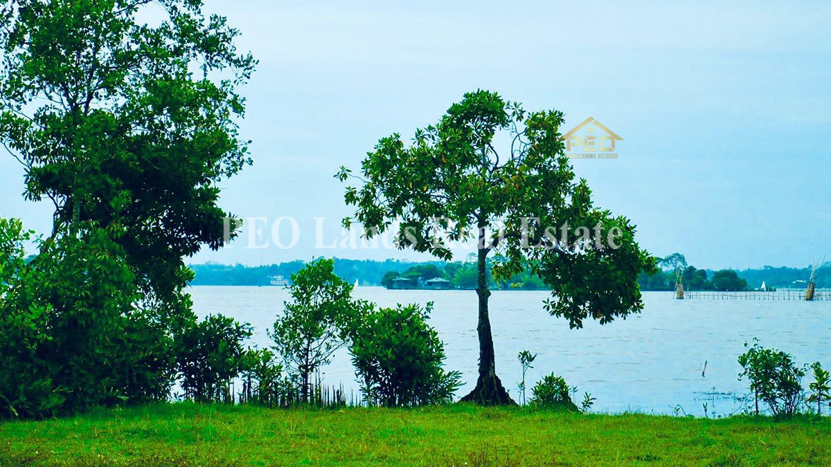 (RL181) 40 Perch Land For Sale in Moratuwa