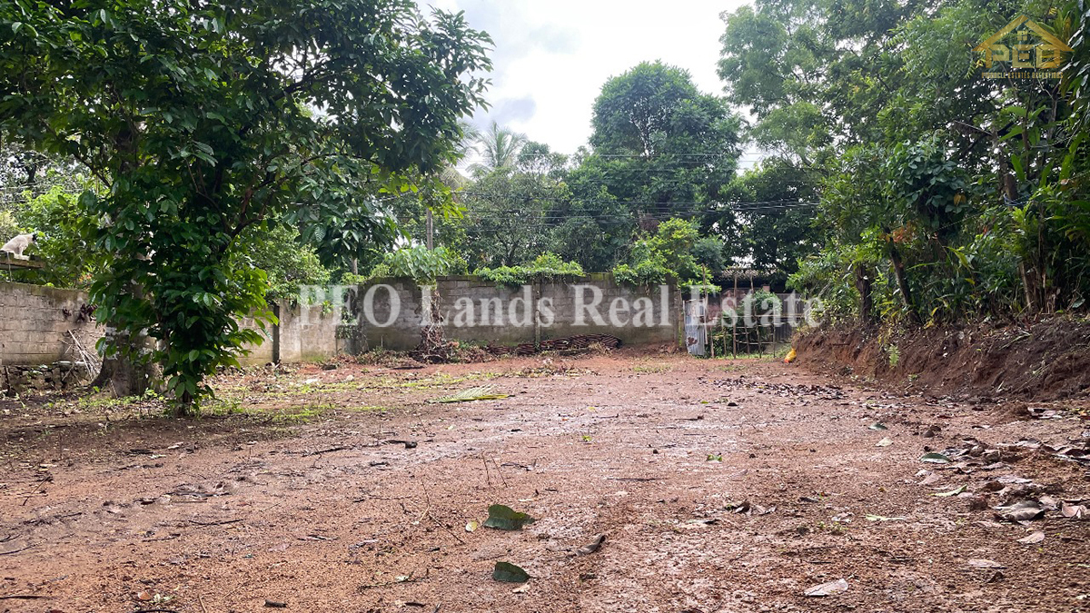 (DL420) 30 perch Land For Sale in Godagama