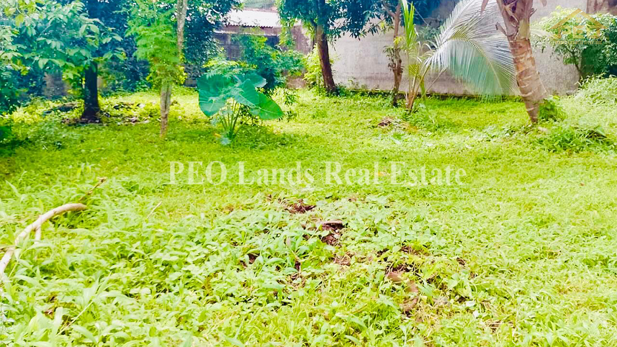 (P306) 11.3 perch Bare Land For sale in Piliyandala,Dampe