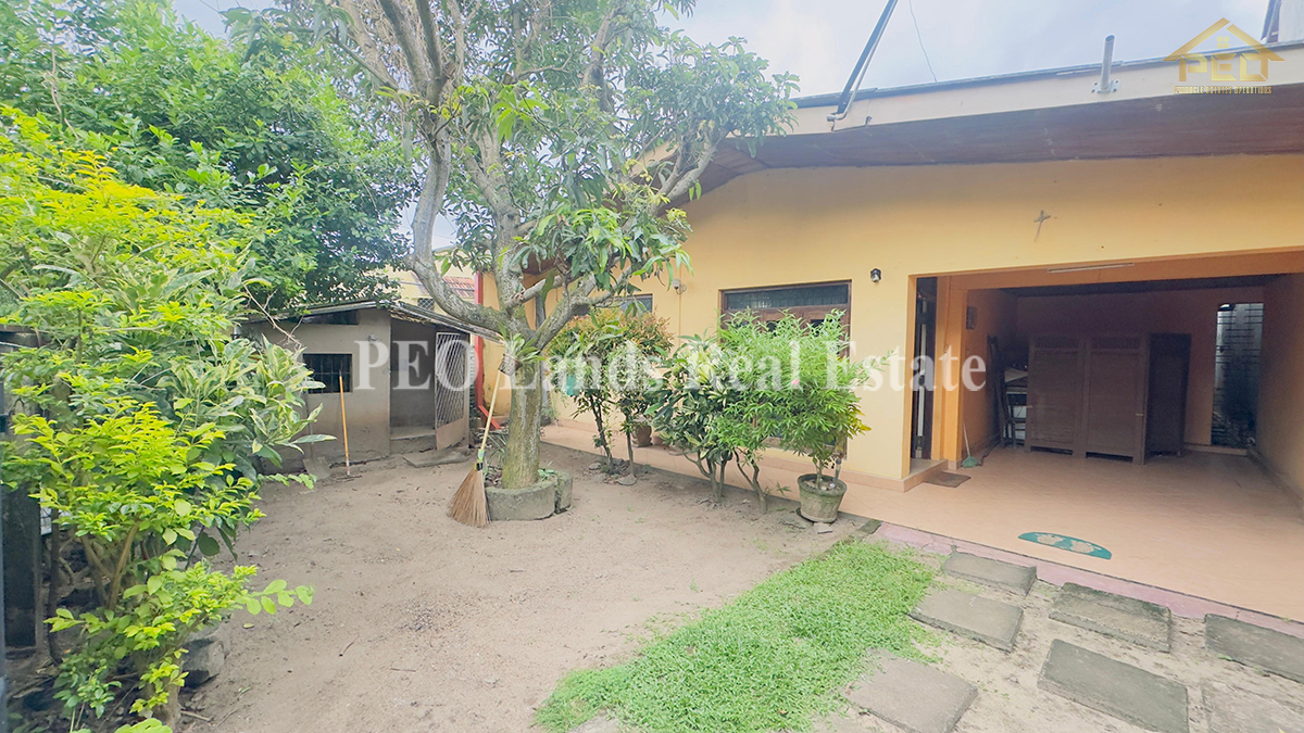 (DL411) 11.8 Perch land With House for Sale in Rathmalana