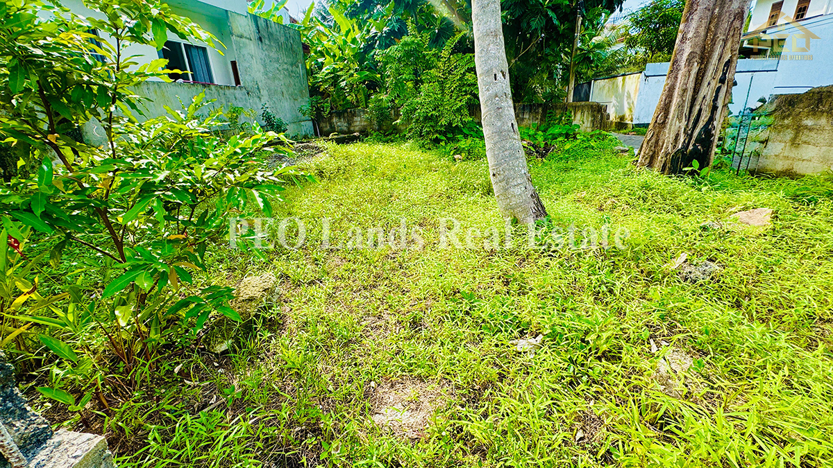 (P305) 6. land For sale Nugegoda, Abuldeniya,Old kottawa rd