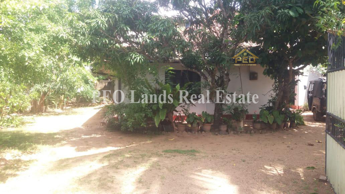 (S767) 14.33 P Land With Old House For Sale in Mathara