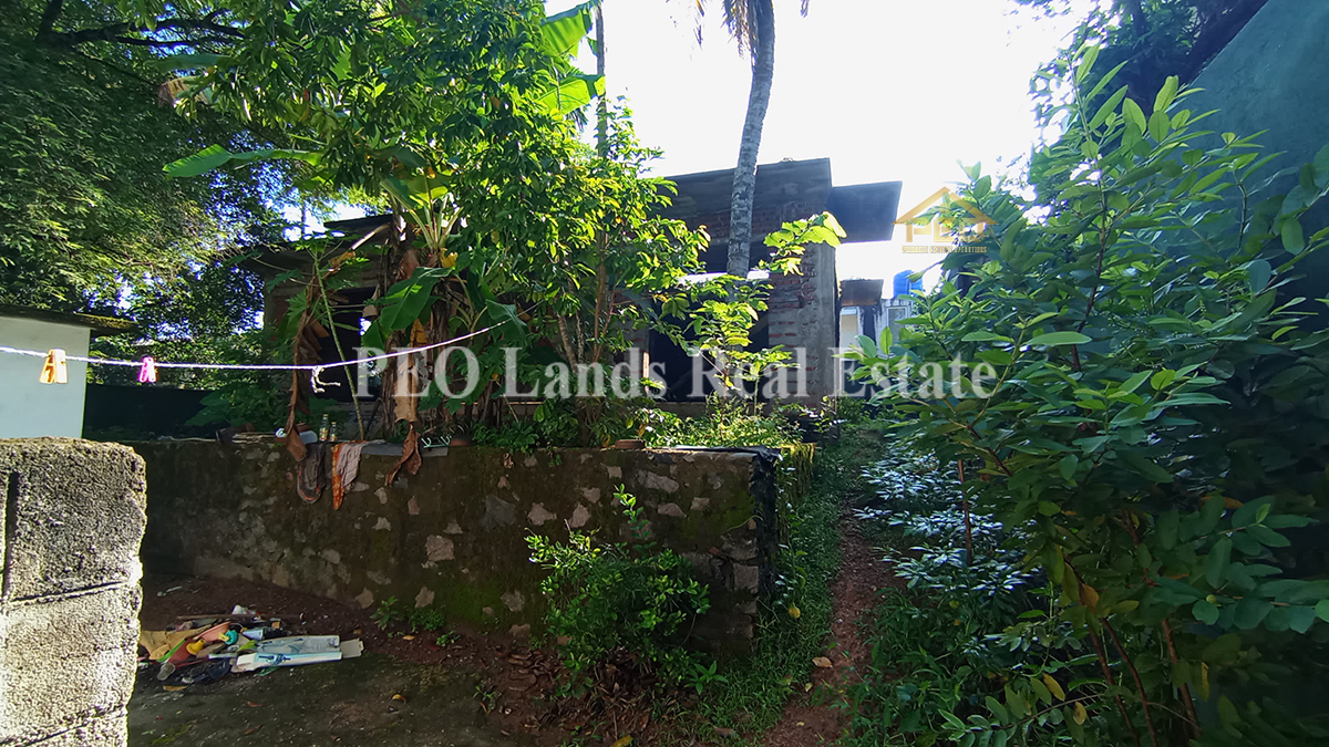 (S768) 20 P Land with House For Sale in Kadawatha (only land value)