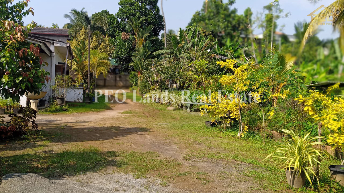 (RL201) 160 P Land With House For Sale in Panadura (Land Value Only)