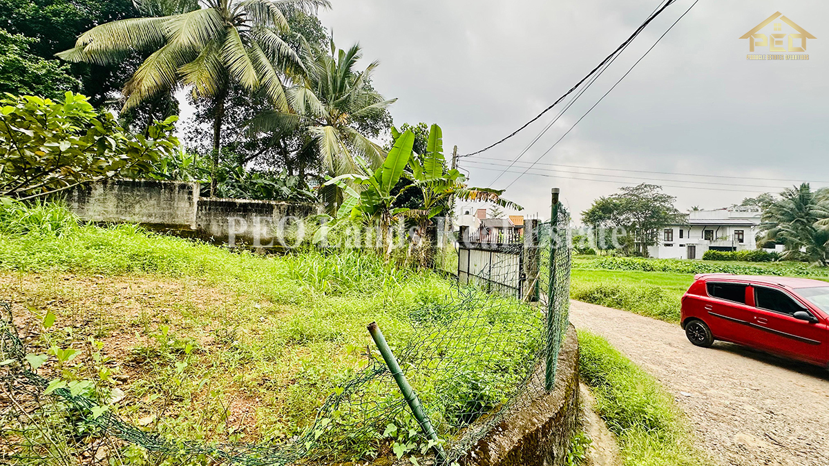 (S780) Paddy Field Facing 8.87P Land For Sale in Kalalgoda