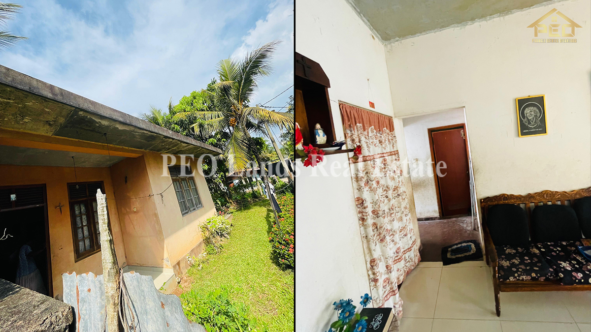 (RS211) Single Storey House For Sale in Panadura