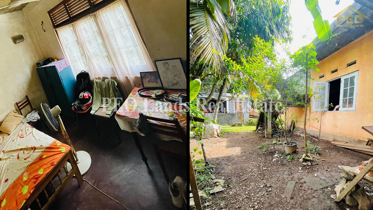 (RS211) Single Storey House For Sale in Panadura