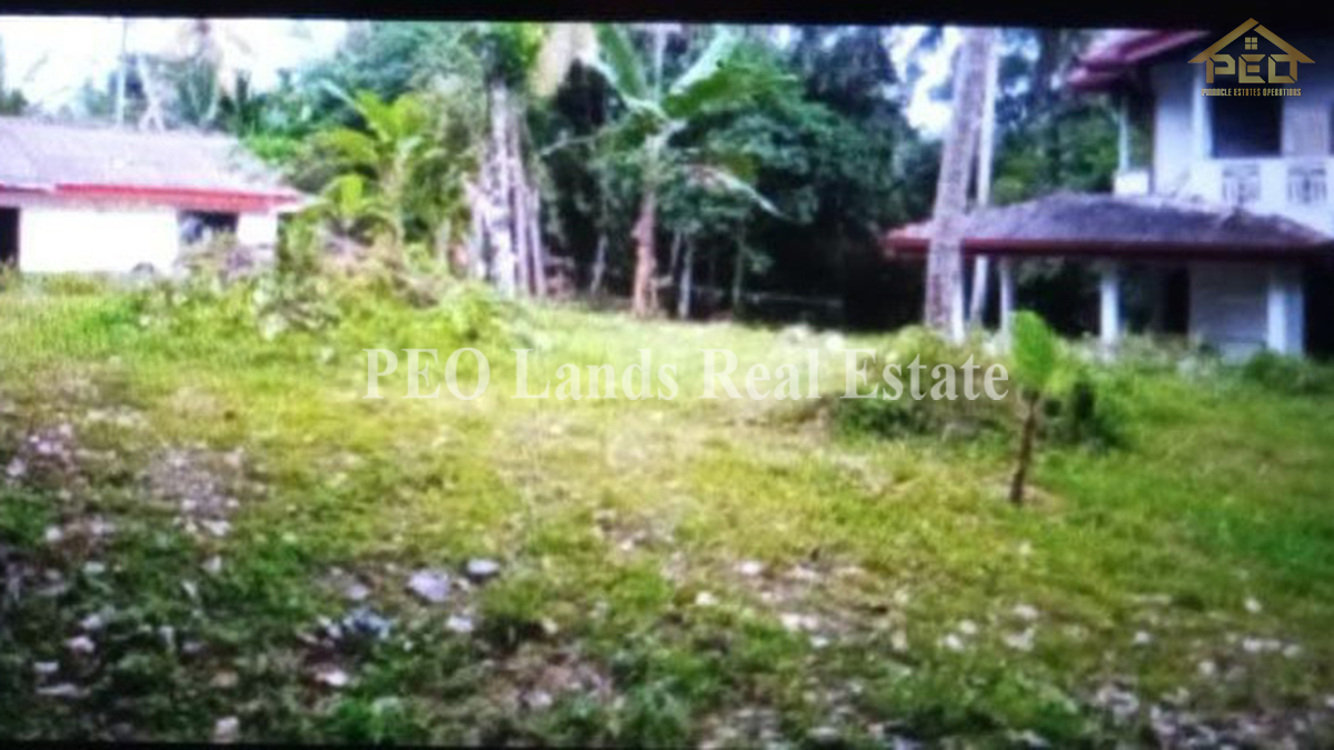 (RL215) 20 Perch Land For Sale in Kaluthara