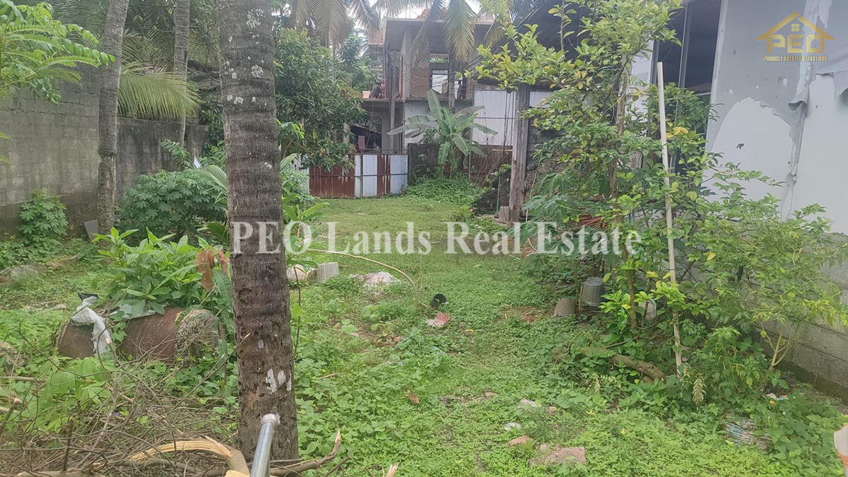 (B199) 20 Perch Land For Sale in Kelaniya, Kohalvila