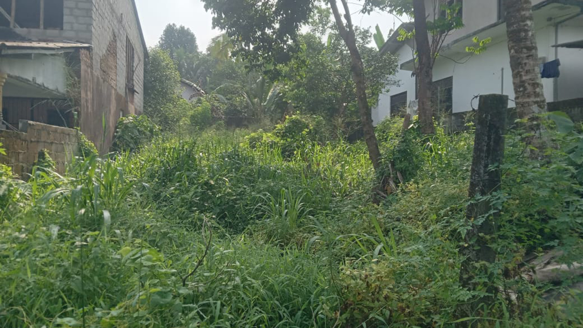 (S796) 11 perch land for sale in Kottawa, Rukmalgoda road