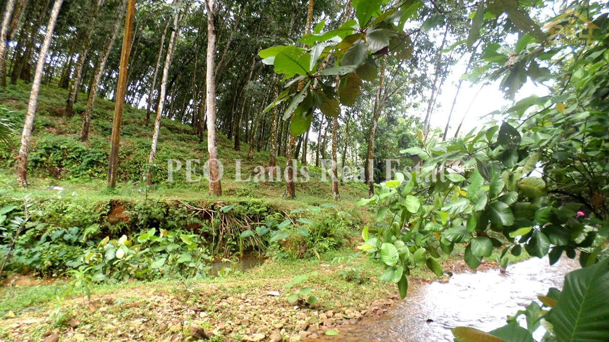 (DC479) Business land with property for sale in Colombo Road, Avissawella