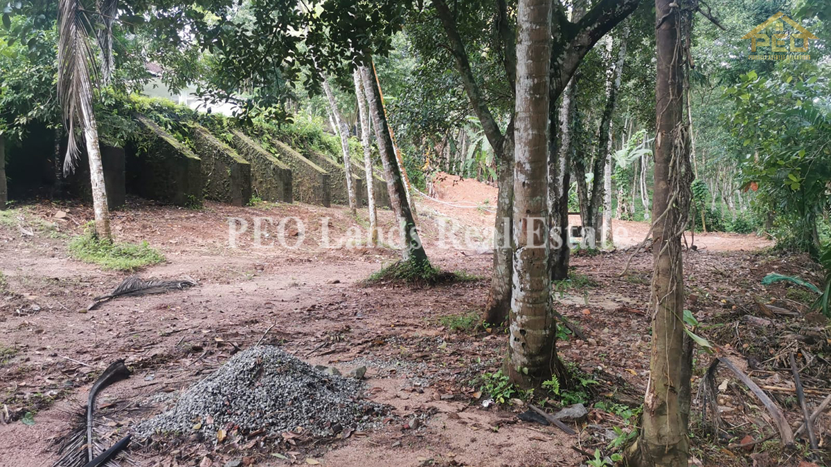 (DC479) Business land with property for sale in Colombo Road, Avissawella