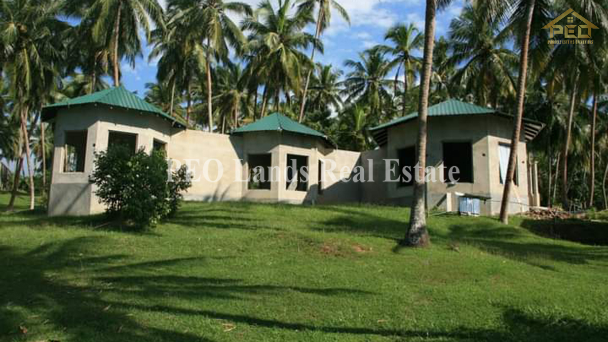 (DL486) 6 Acres Coconut Land for Sale Karandeniya