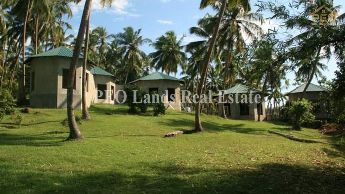 (DL486) 6 Acres Coconut Land for Sale Karandeniya