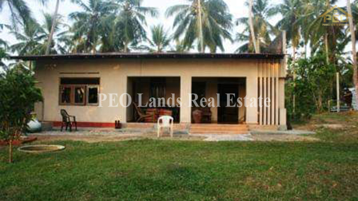 (DL486) 6 Acres Coconut Land for Sale Karandeniya