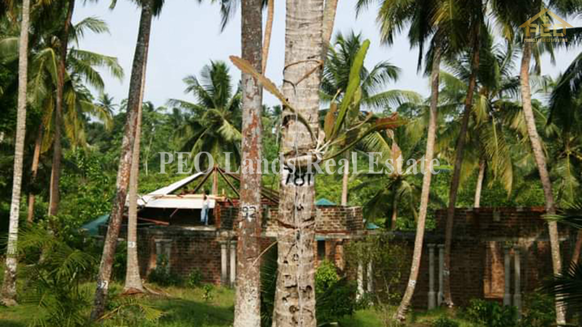 (DL486) 6 Acres Coconut Land for Sale Karandeniya