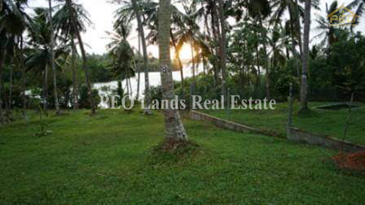 (DL486) 6 Acres Coconut Land for Sale Karandeniya