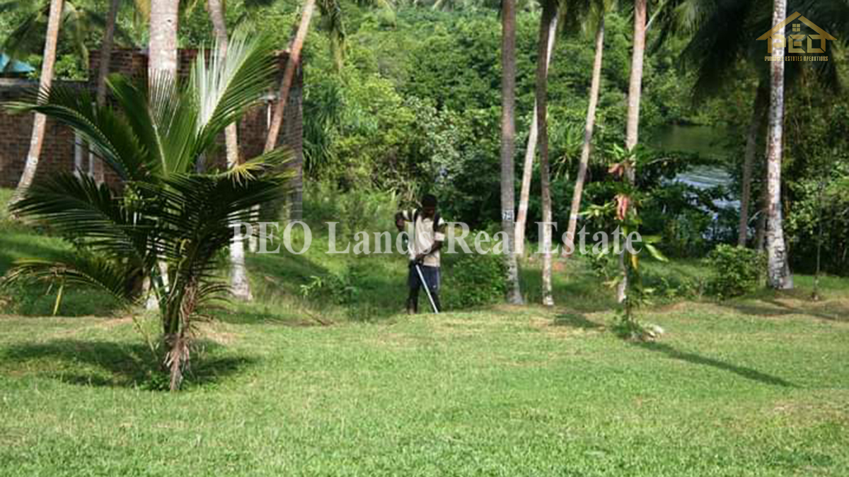 (DL486) 6 Acres Coconut Land for Sale Karandeniya