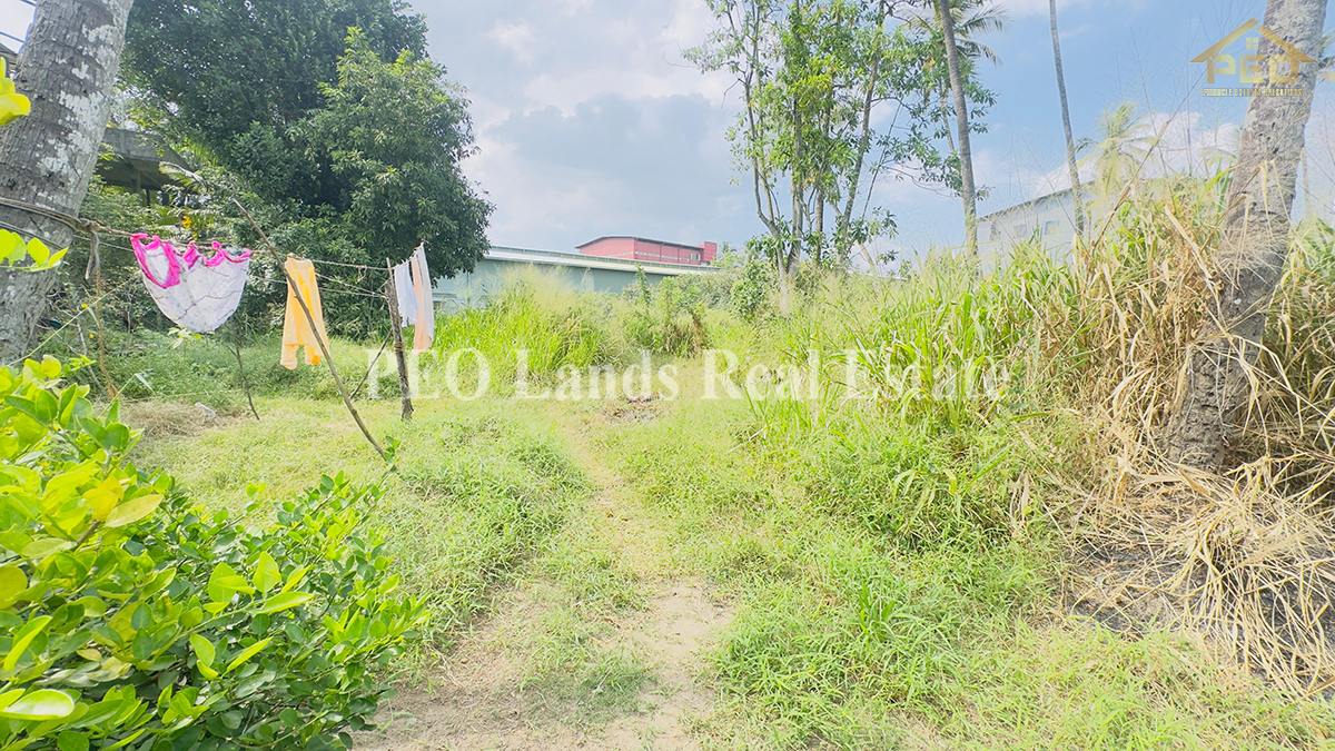 (DL492) 60 Perch Land For Sale in Angoda