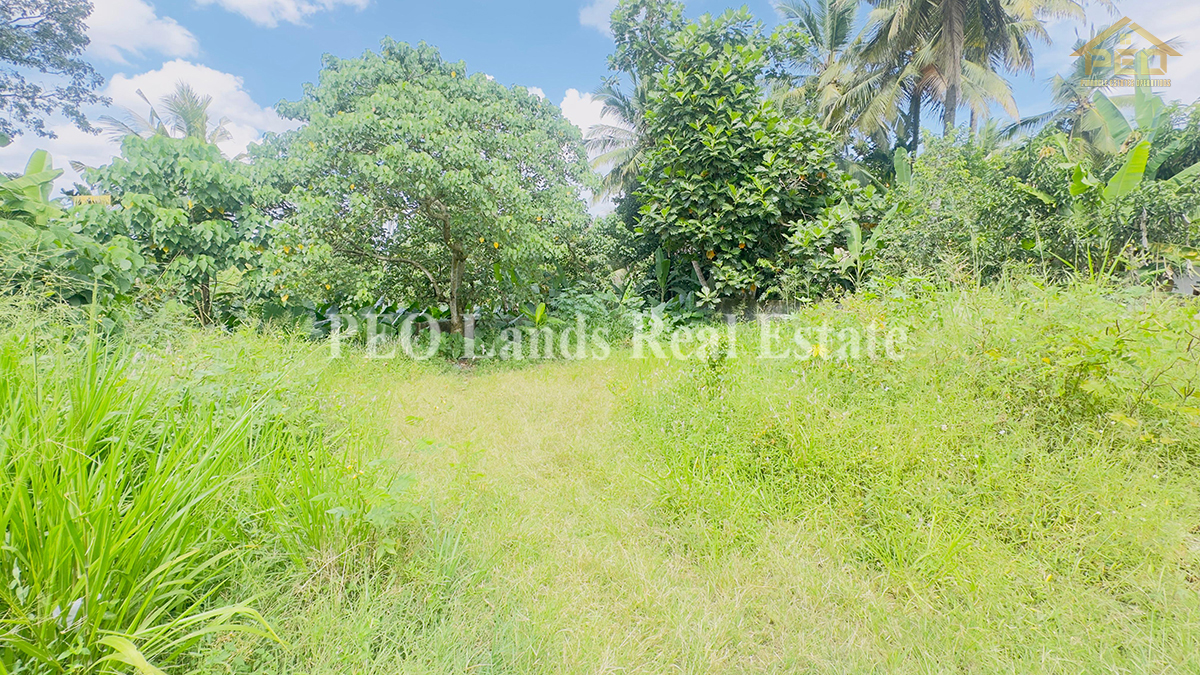 (DL493) 15.4 Perch Land For Sale in Kottawa, Mattegoda