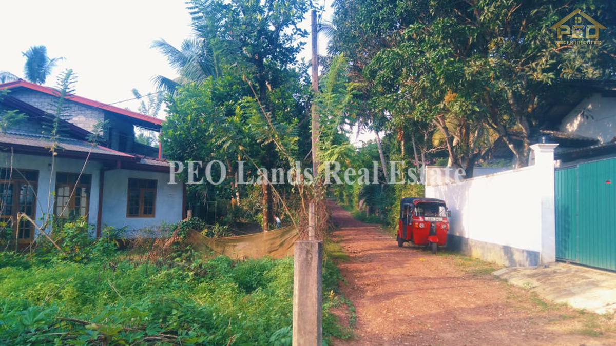 (DH494) Single Storey House For Sale in Bandaragama