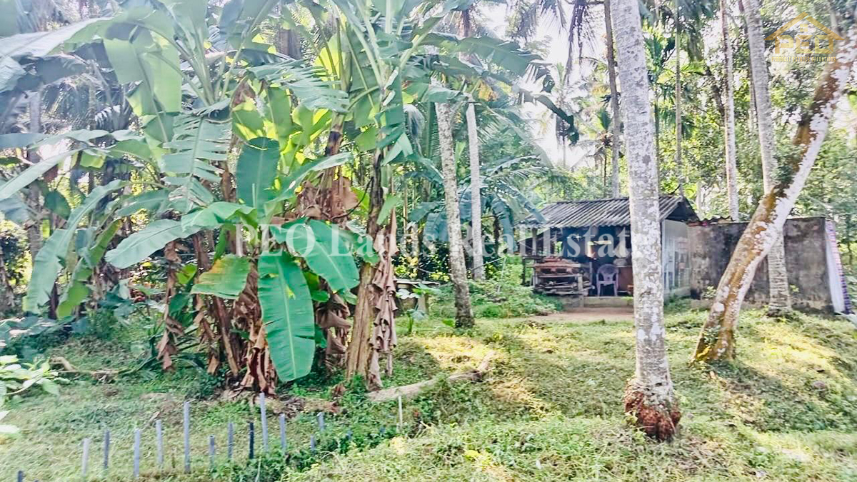 (K122) Single Storey House For Sale in Kirindiwela