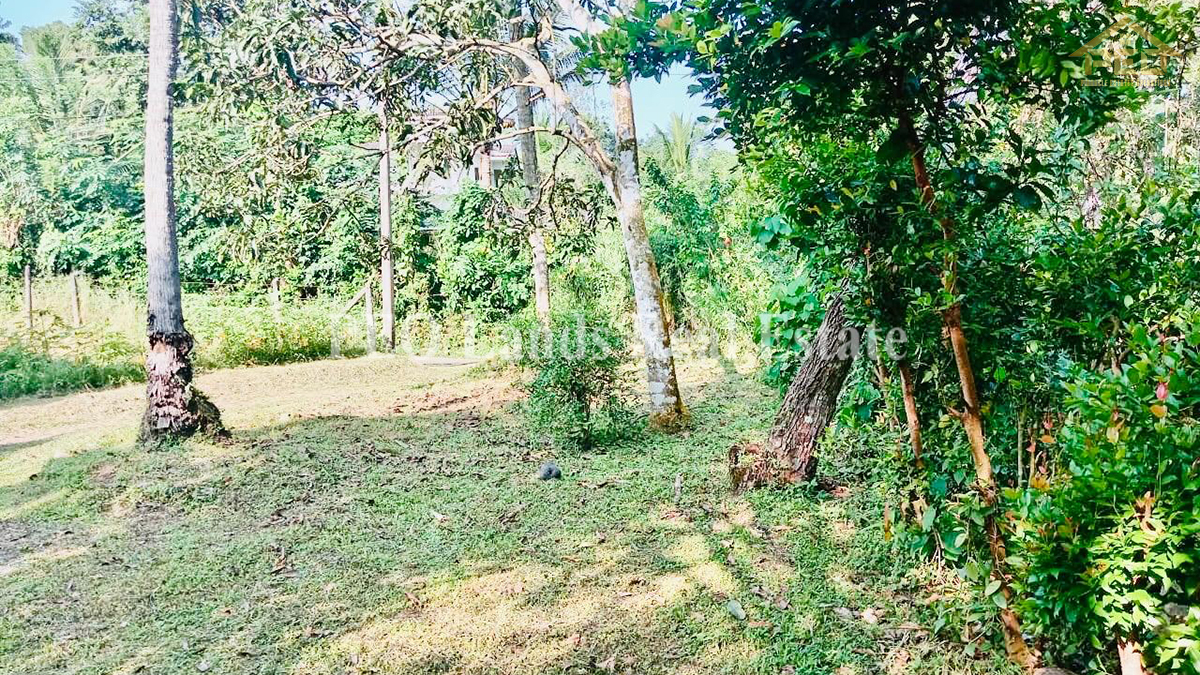 (K122) Single Storey House For Sale in Kirindiwela