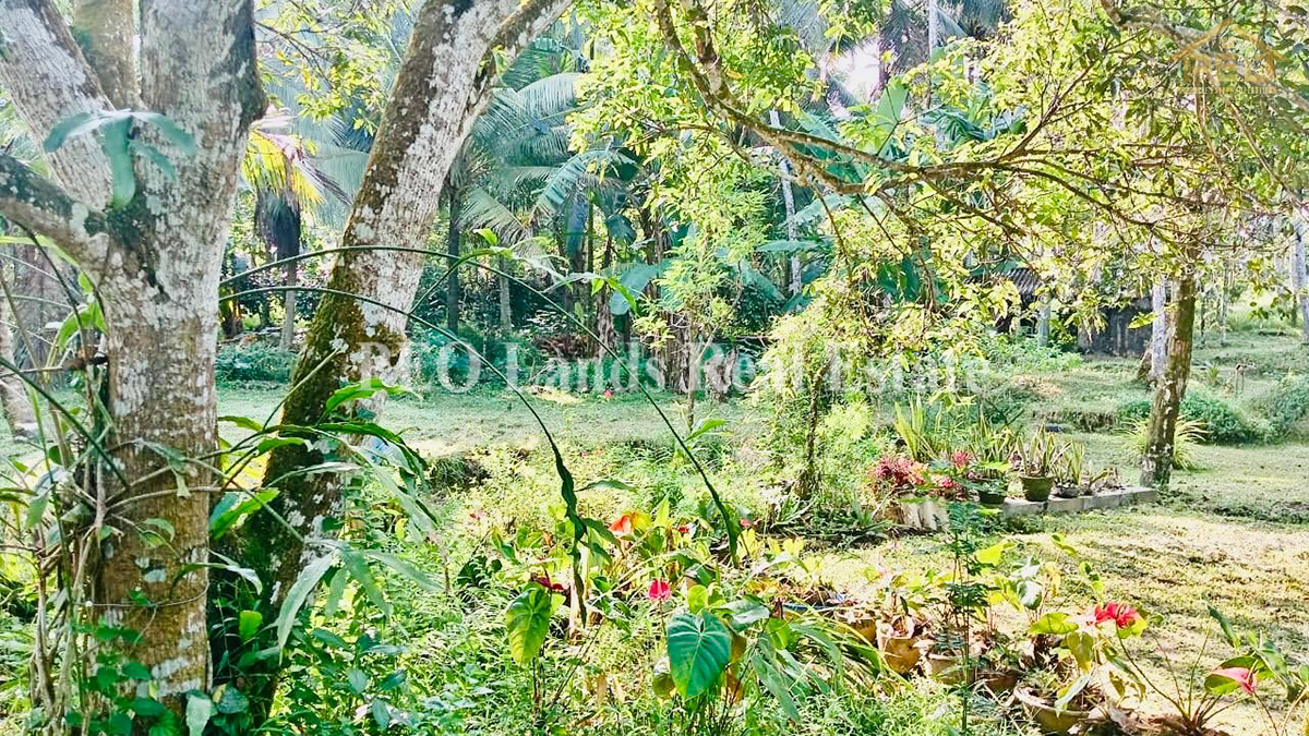 (K122) Single Storey House For Sale in Kirindiwela