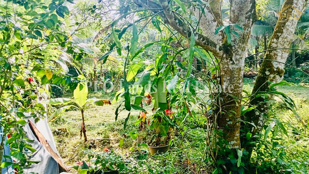 (K122) Single Storey House For Sale in Kirindiwela