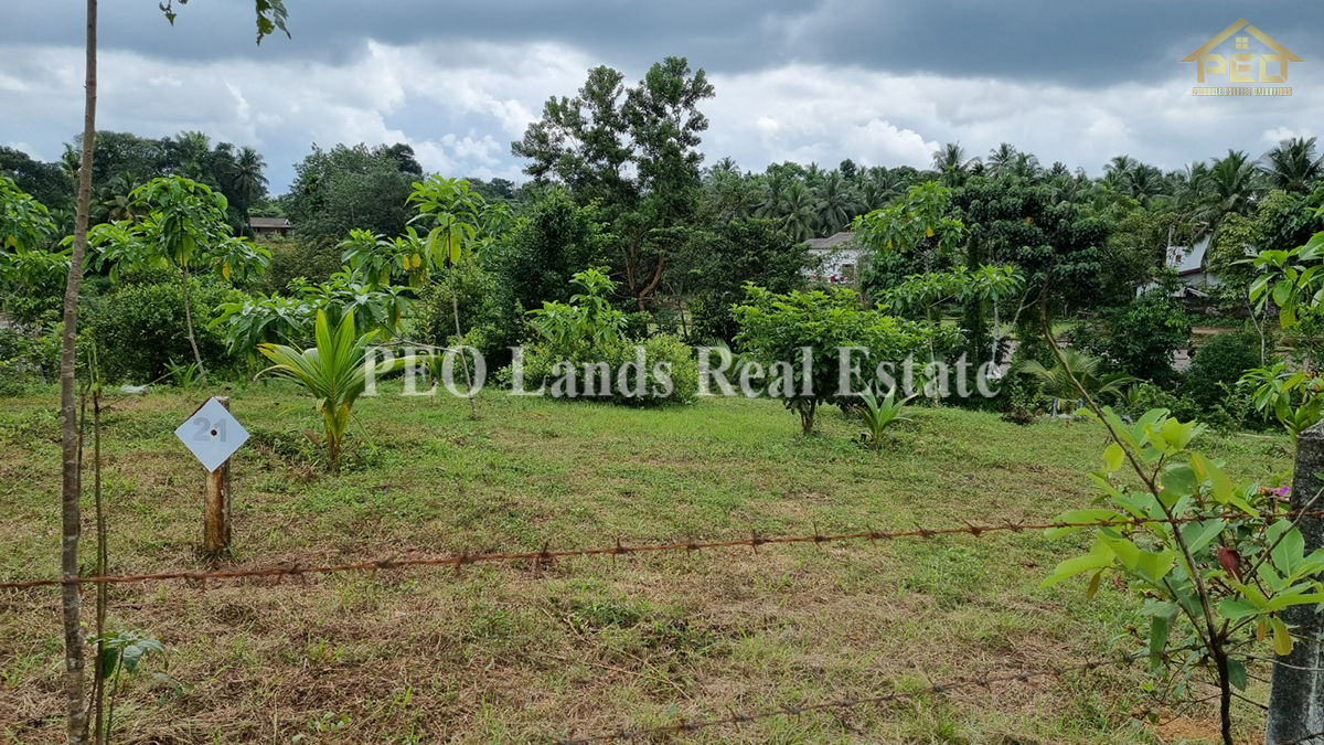 (ML258) 51.3 perch Land for Sale in Horana