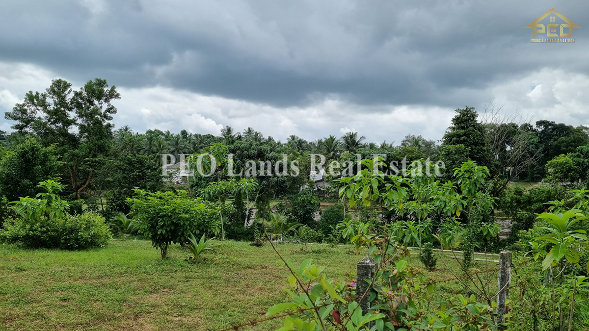 (ML258) 51.3 perch Land for Sale in Horana