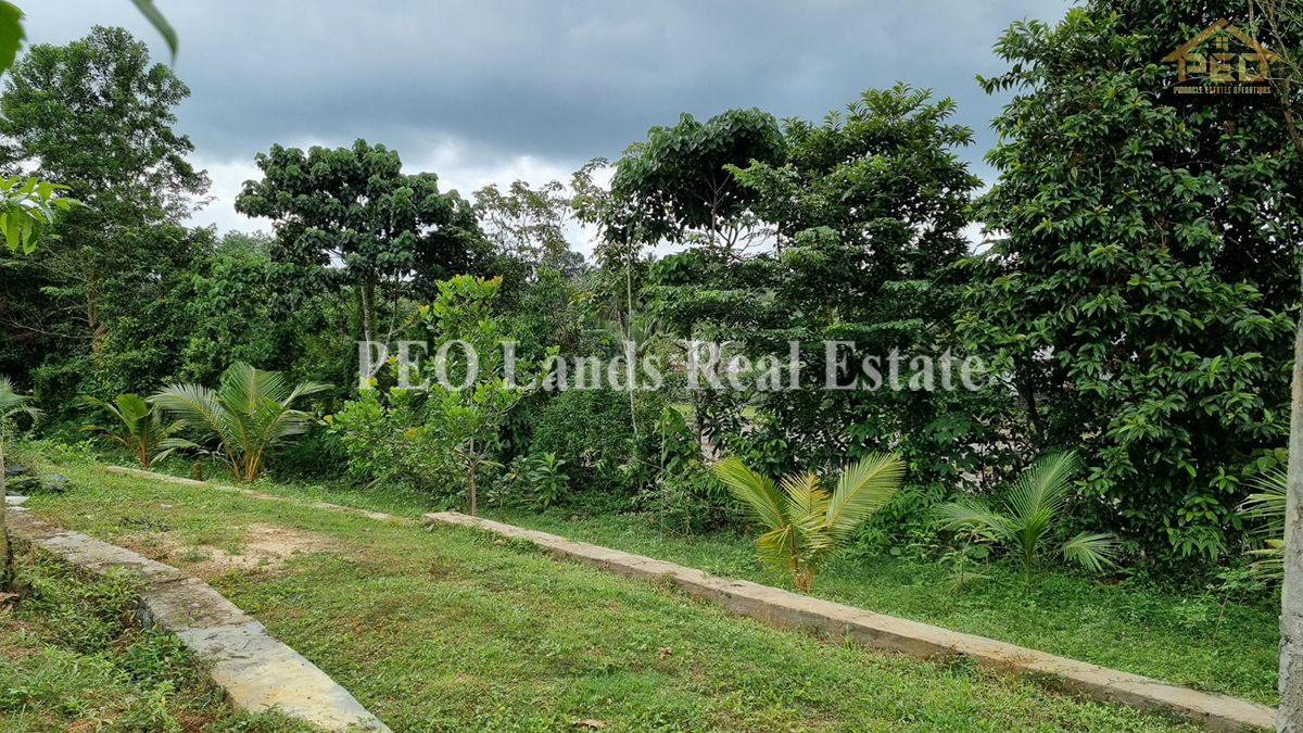 (ML258) 51.3 perch Land for Sale in Horana