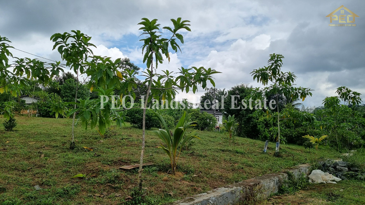 (ML258) 51.3 perch Land for Sale in Horana
