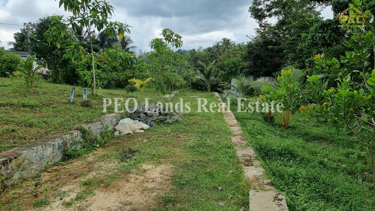 (ML258) 51.3 perch Land for Sale in Horana
