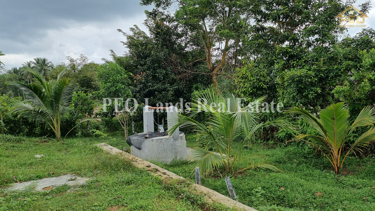 (ML258) 51.3 perch Land for Sale in Horana