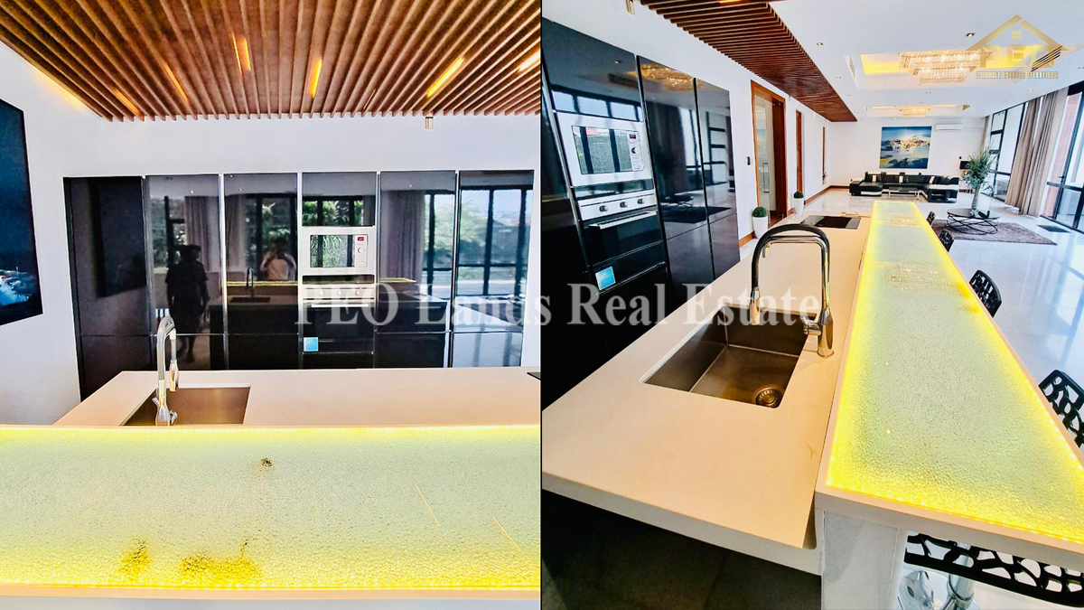 (S833) Ultra super Luxury Modern house with furniture for rent in Colombo 3