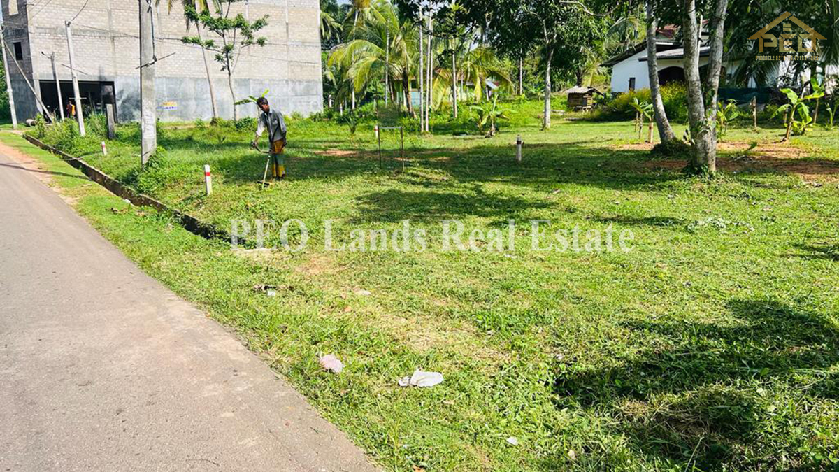 (B202) 20 Perch Land For Sale in Gampaha