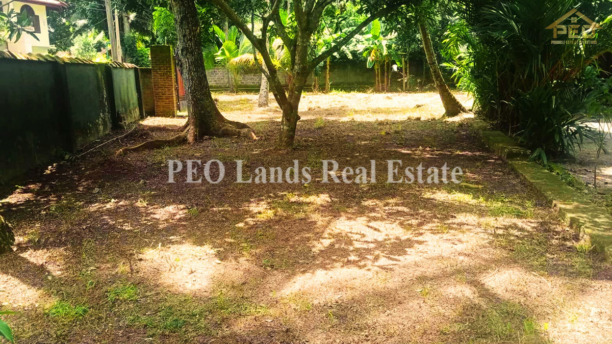 (K311) 17 Perch Land For Sale in Gampaha, Makavita