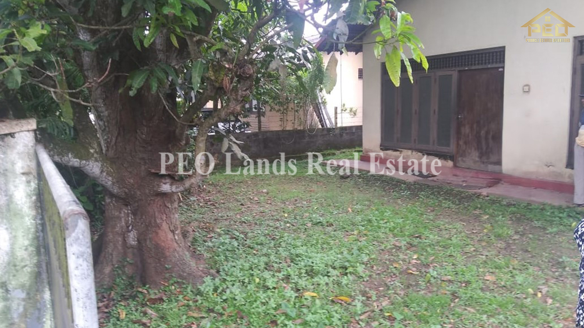 (RL251) 12.6 Perch Land With House For Sale in Panadura