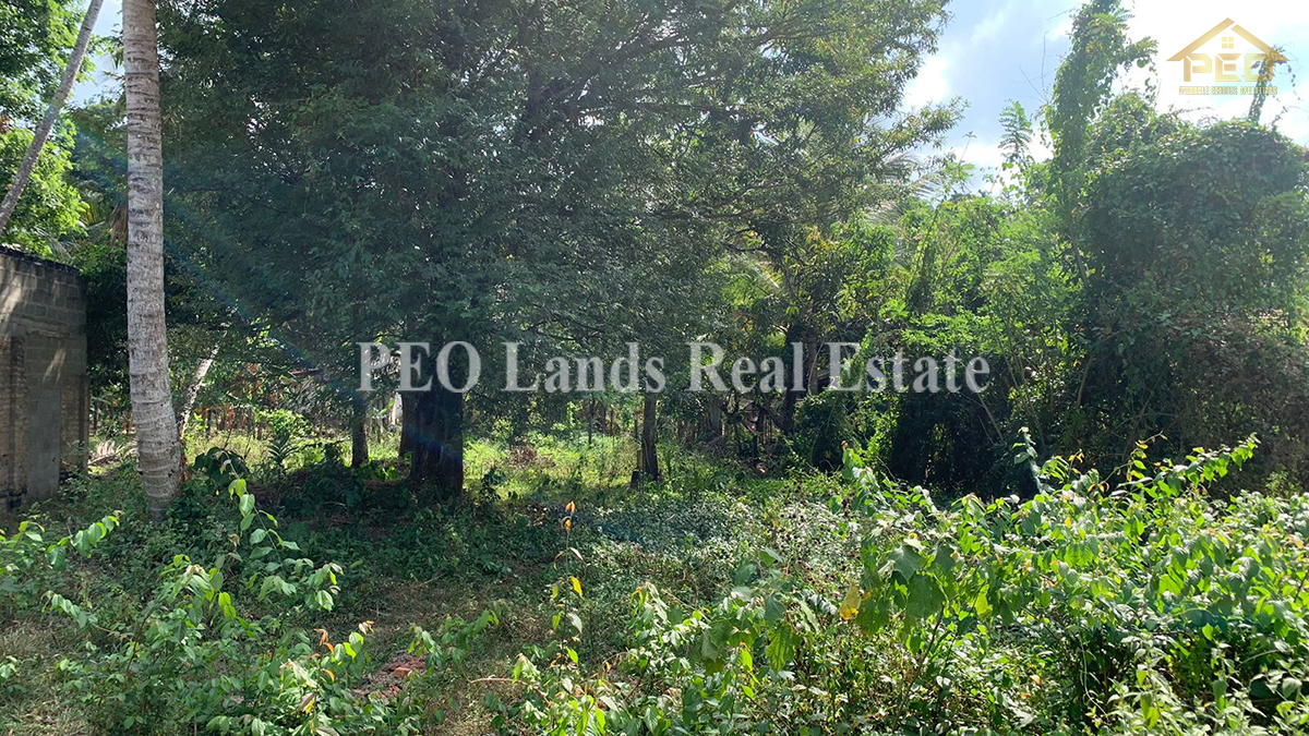 (K350) 23.8 perch flat land for sale in Dolagatha Road, Udugampola