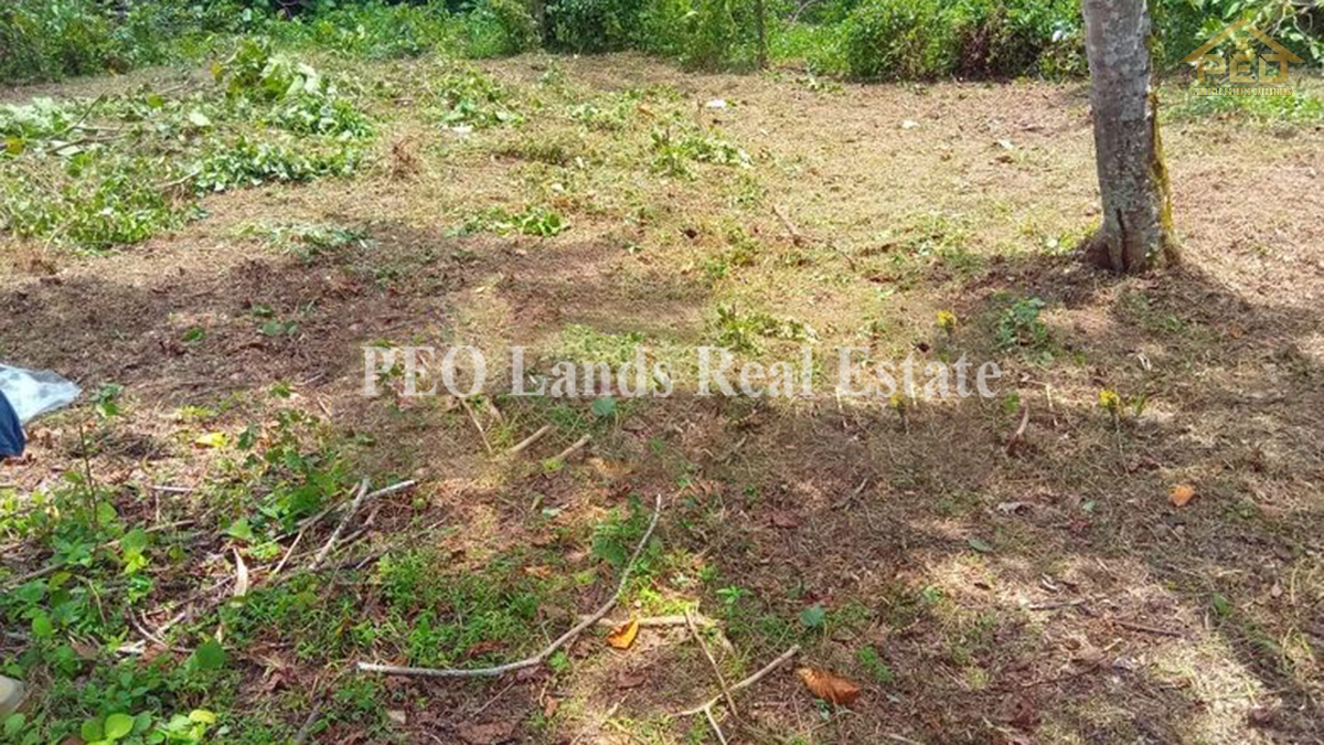 (ML291) Two plots of land for sale in Bandaragama